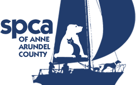 Anne Arundel County Society for the Prevention of Cruelty to Animals