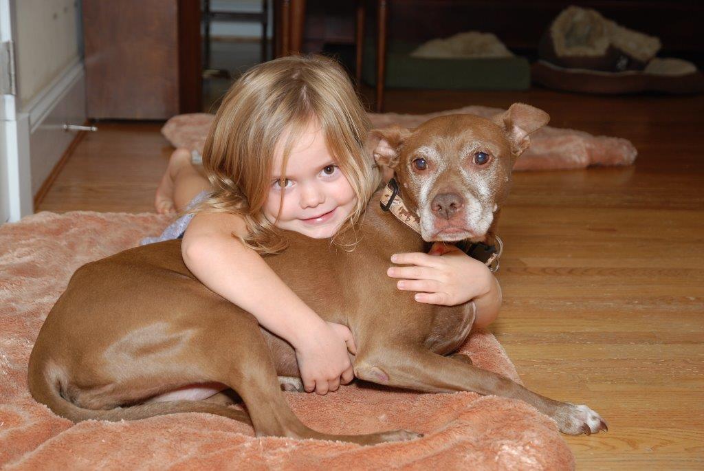 Pet Care - Family Veterinary Clinic - Crofton & Gambrills