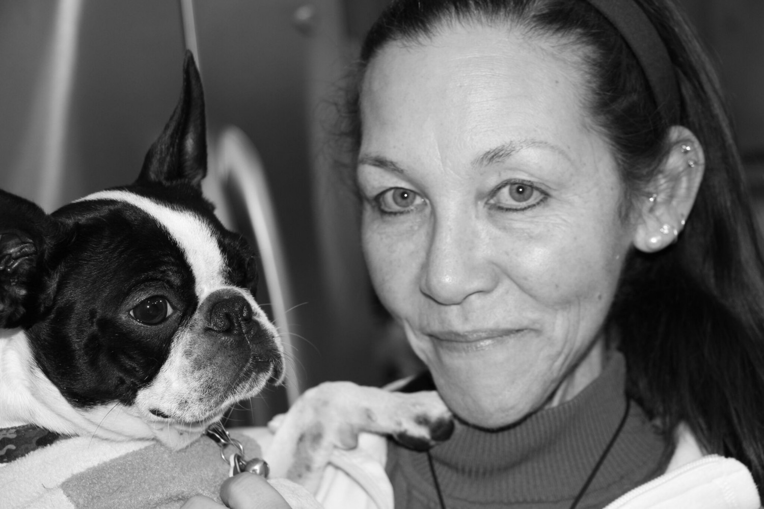 Debi Persing - Family Veterinary Clinic - Crofton & Gambrills MD