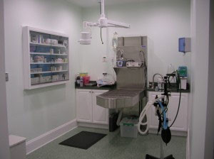 Dental Suite - Family Veterinary Clinic - Crofton & Gambrills, MD