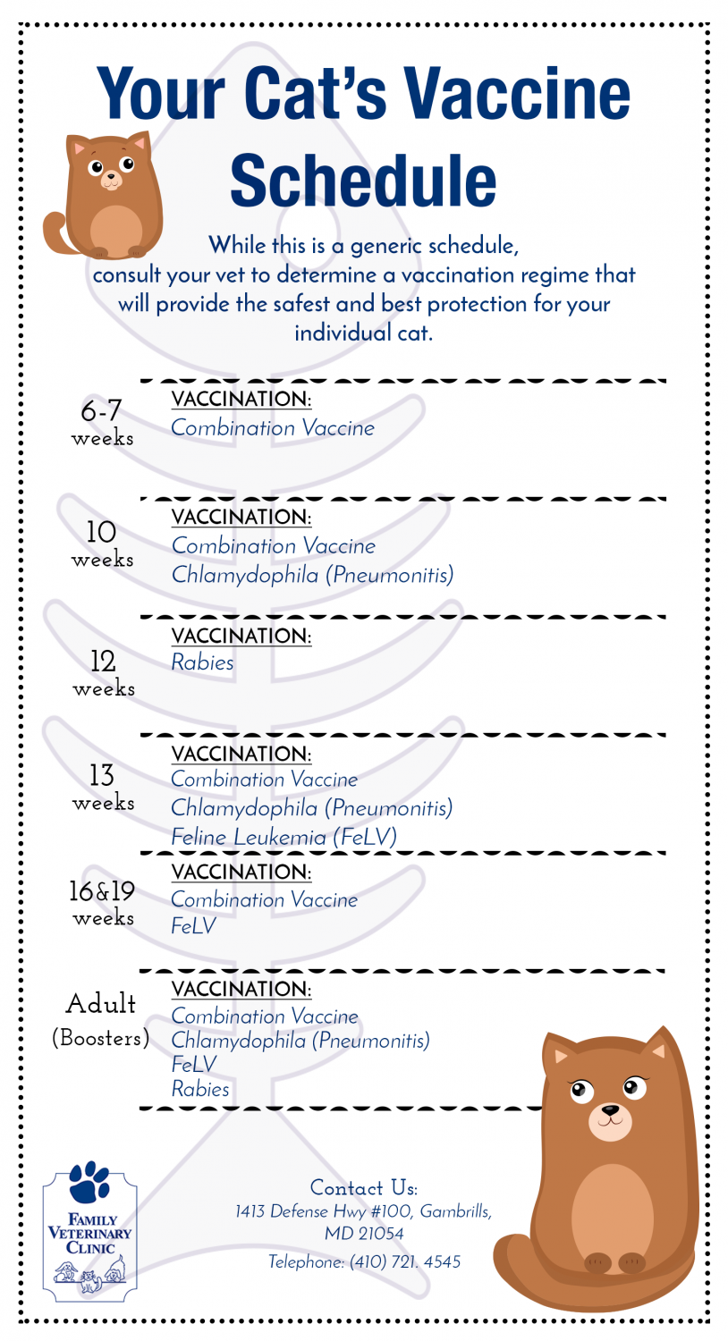 Printable Cat Vaccination Chart Pet Medical Record Cat Vaccinations Instant Download PDF